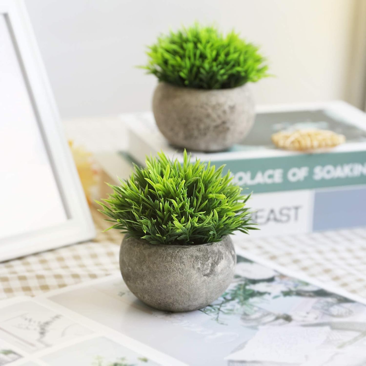 Mini Artificial Plants — Set of 2 Rustic Black Pots