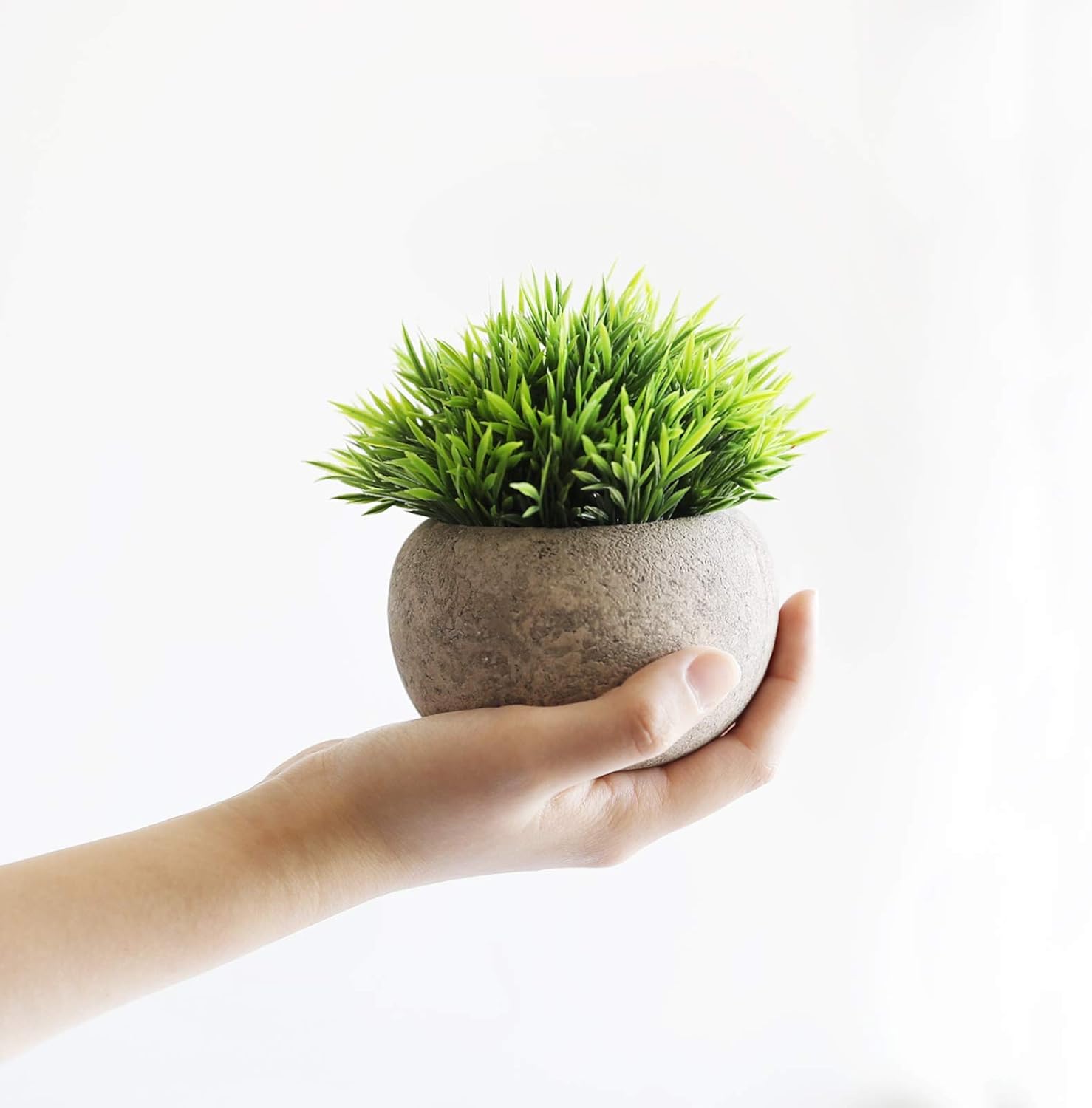Mini Artificial Plants — Set of 2 Rustic Black Pots