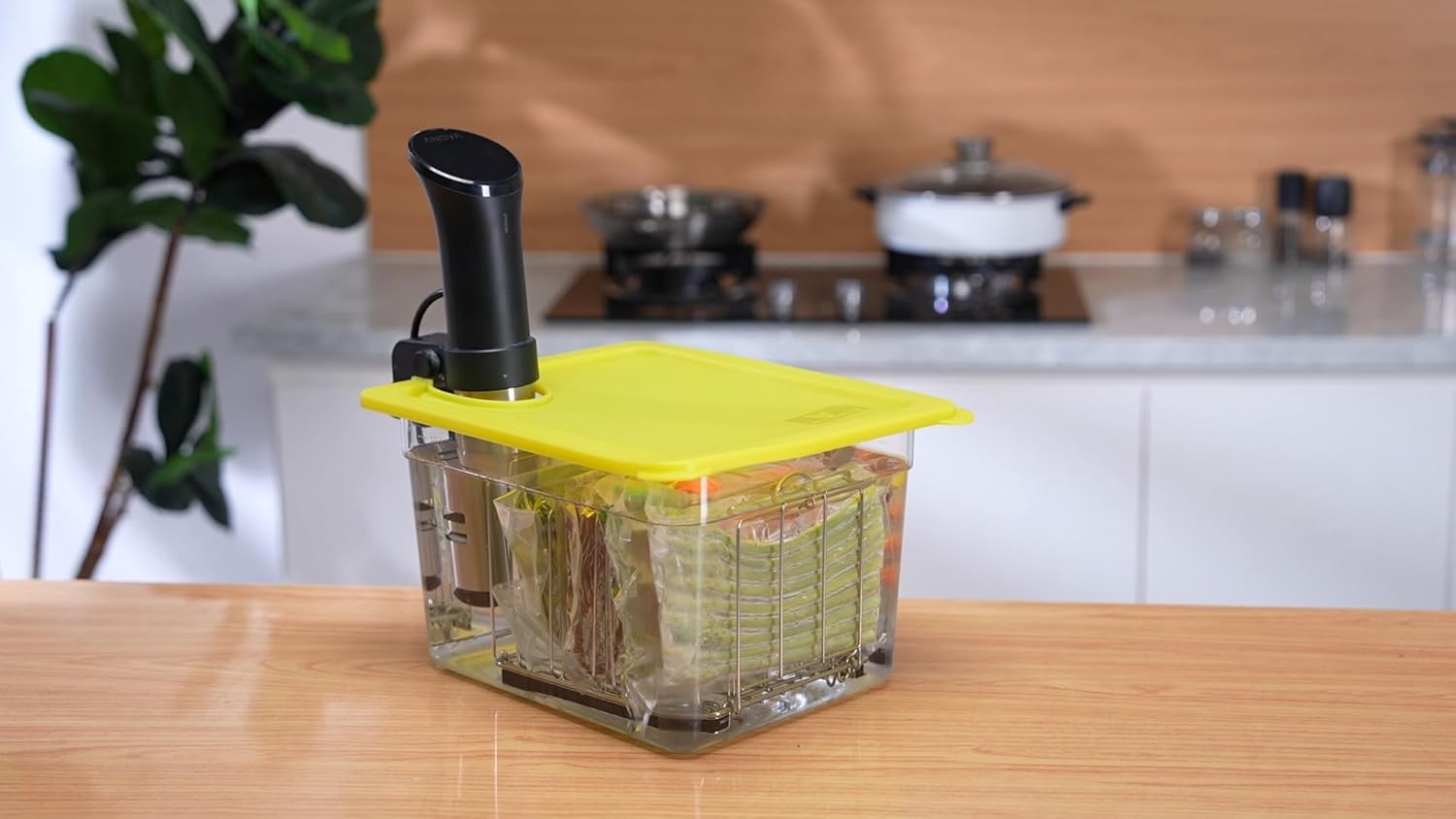 EVERIE 12-Quart Sous Vide Container with Silicone Lid and Rack