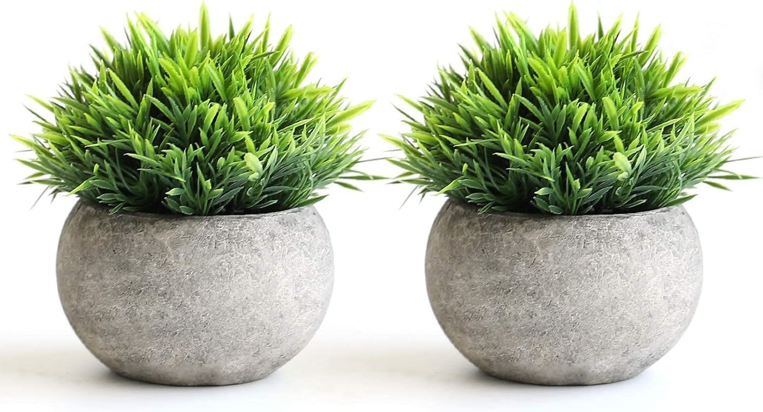 Mini Artificial Plants — Set of 2 Rustic Black Pots