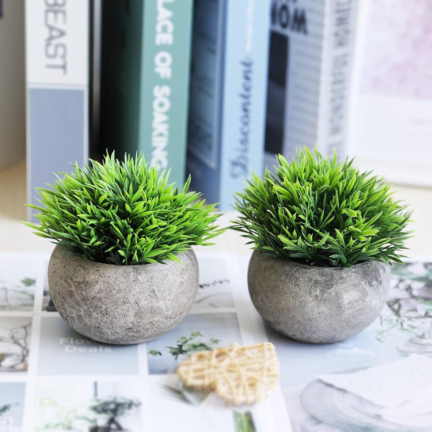 Mini Artificial Plants — Set of 2 Rustic Black Pots