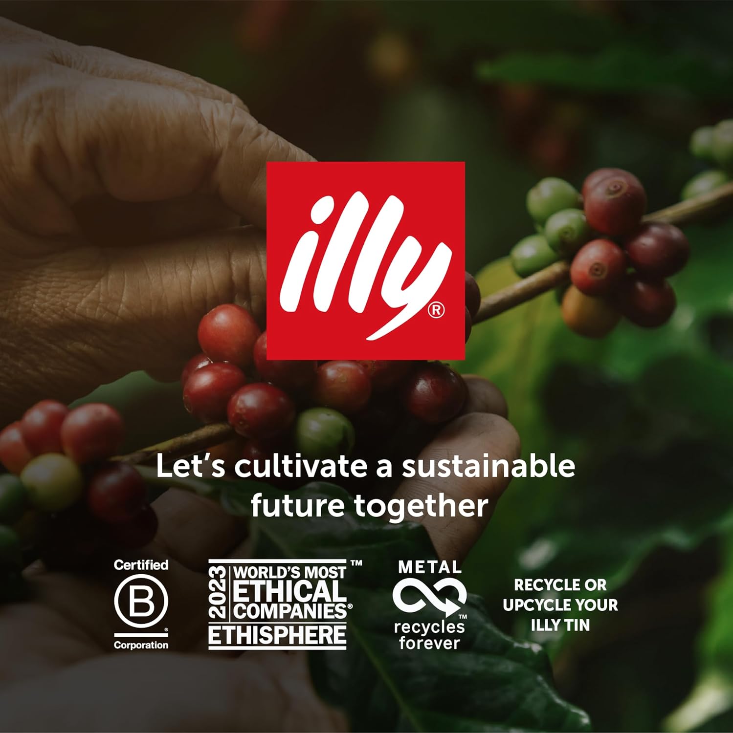illy Medium Roast Ground Coffee, 250g