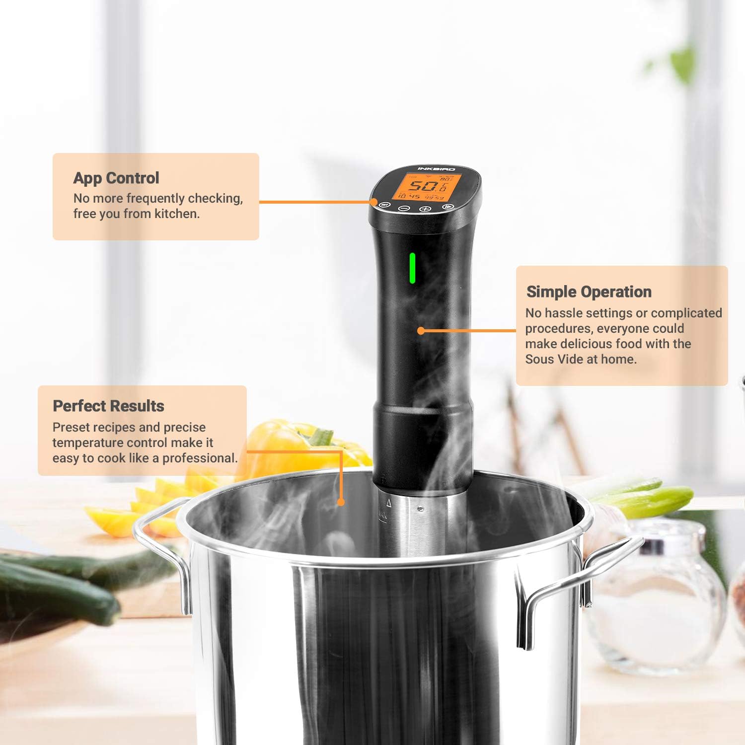 INKBIRD ISV-200W Sous Vide Cooker Wi-Fi 1000W