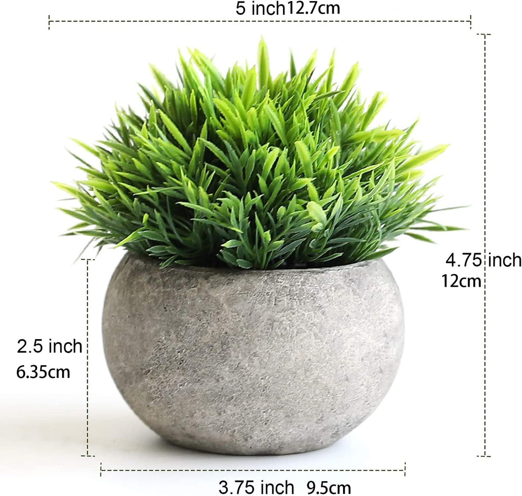Mini Artificial Plants — Set of 2 Rustic Black Pots