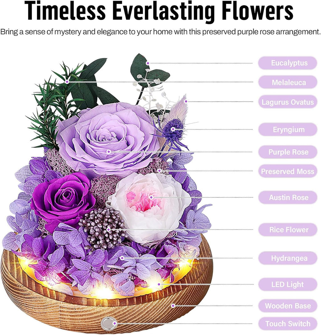 Preserved Rose Dome with LED Lights — Purple Eternal Gift