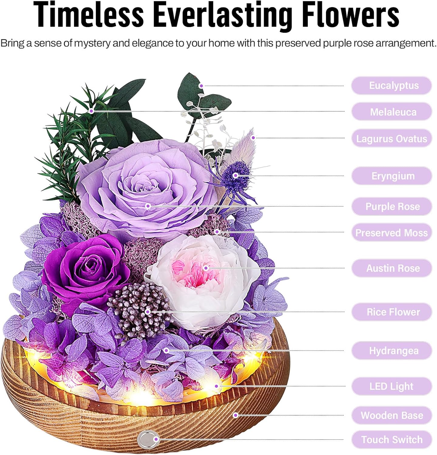 Preserved Rose Dome with LED Lights — Purple Eternal Gift